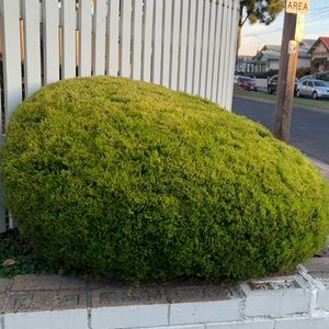 Meet your Posher, Ella